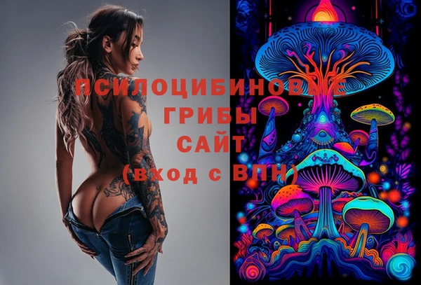 соль ск Алексеевка
