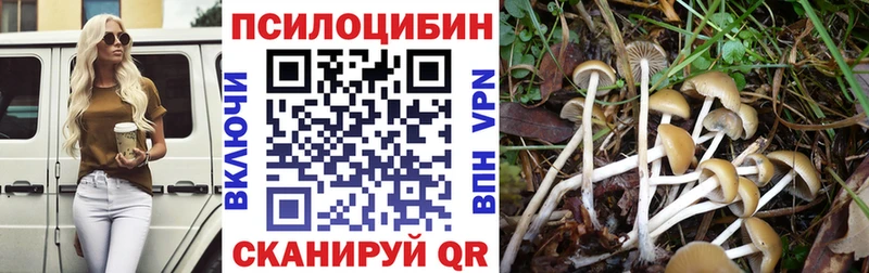 наркошоп  Дмитров  omg как войти  Галлюциногенные грибы мицелий 