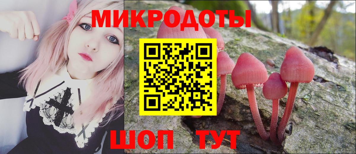 Дмитров  Псилоцибиновые грибы мицелий  Вход с VPN 